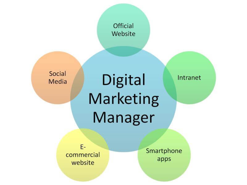 What Does Assistant Marketing Manager Do